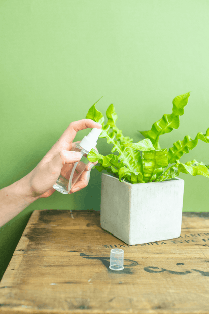 Spray Bottle : Mini Plastic