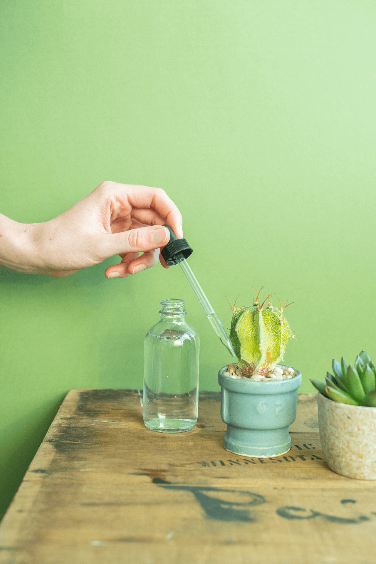 Dropper Bottle : Glass