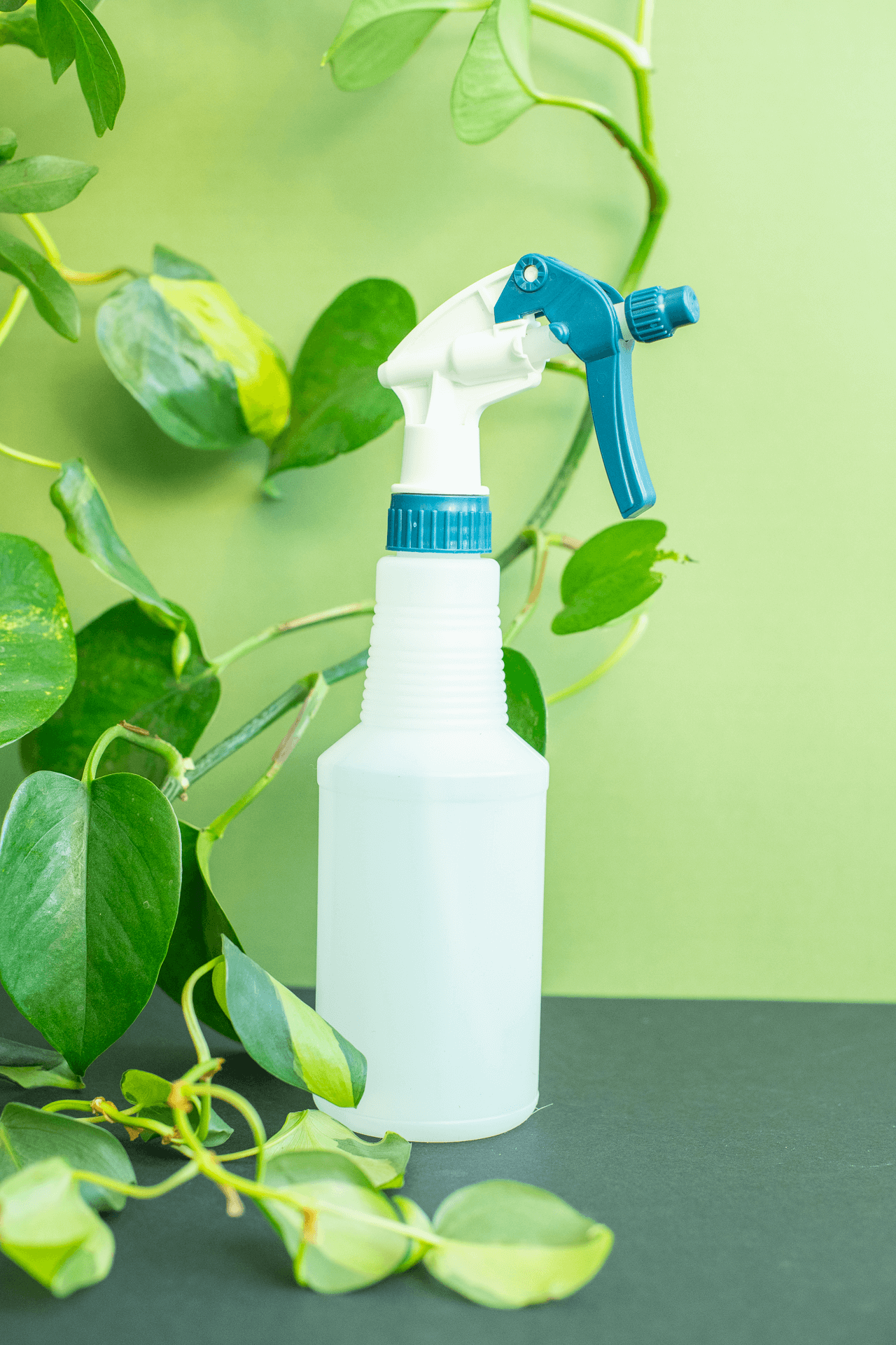 Spray Bottle: Blue Topped Plastic