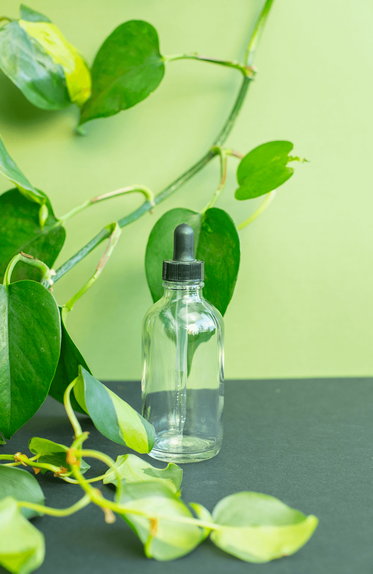 Dropper Bottle : Glass