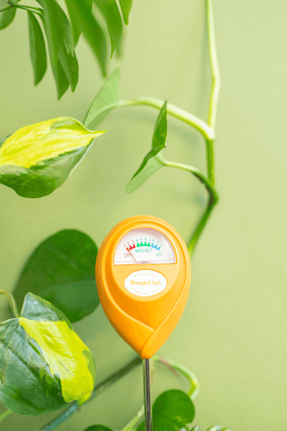 Moisture Meter