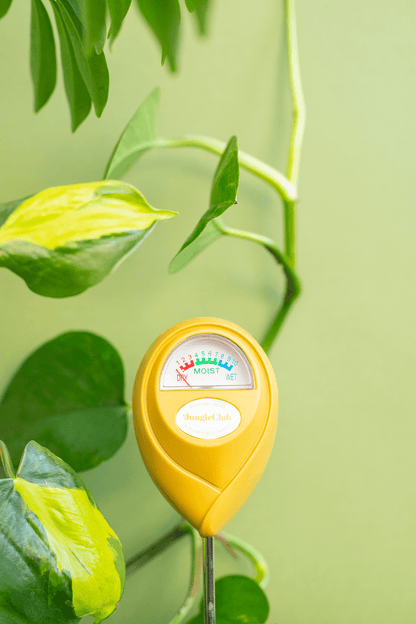 Moisture Meter