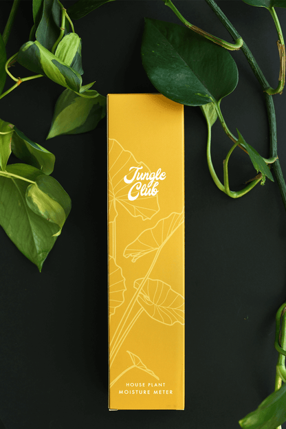 Moisture Meter