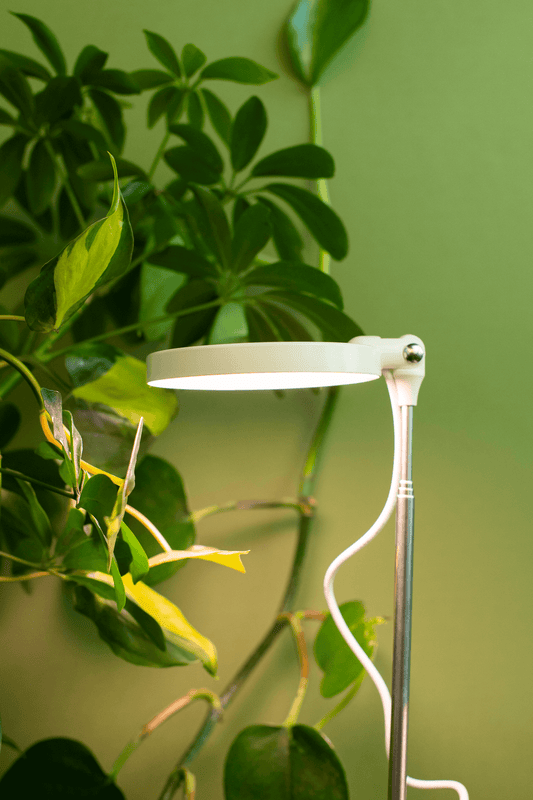 Adjustable LED Plant Light