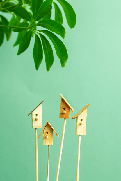 Norseman Workshop :  Terrarium Bird House