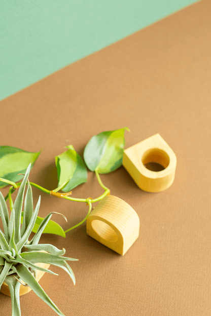 Norseman Workshop :  Wood Magnet Airplant Holder w/ Plant