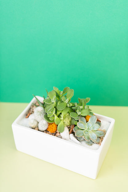 Rectangular Potted Arrangement