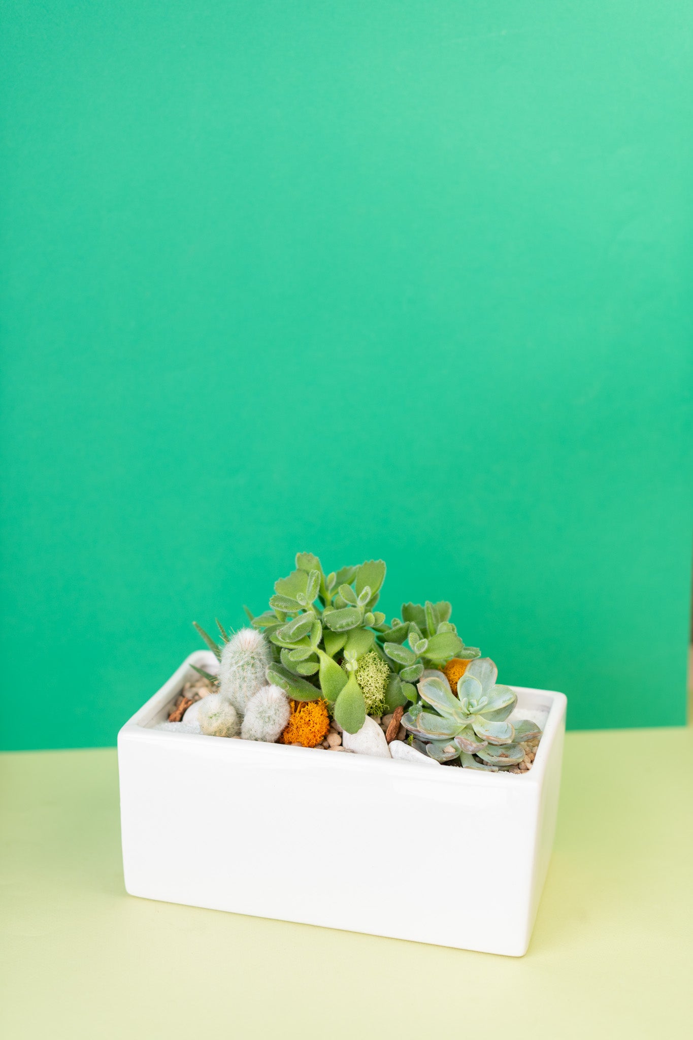 Rectangular Potted Arrangement