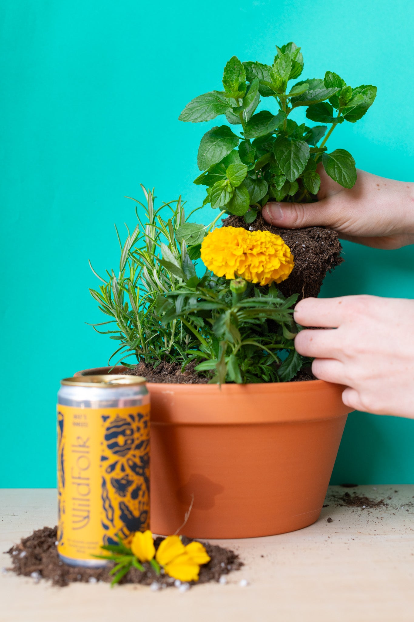 Plant x Wild Folk  : Beverage Garnish & Edible Potted Arrangement Workshop