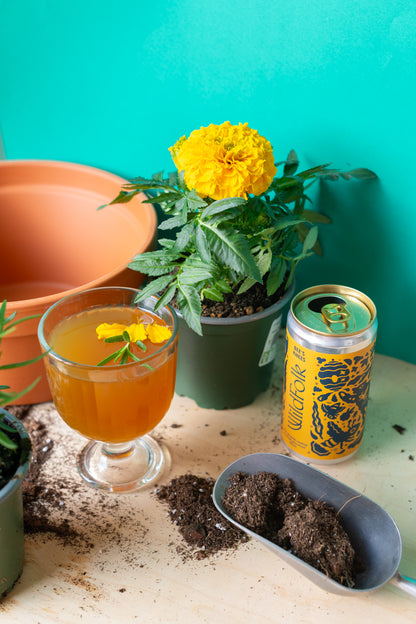 Plant x Wild Folk  : Beverage Garnish & Edible Potted Arrangement Workshop