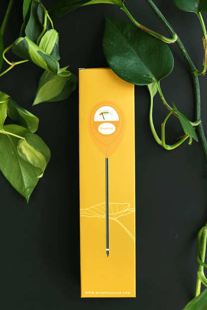 Moisture Meter