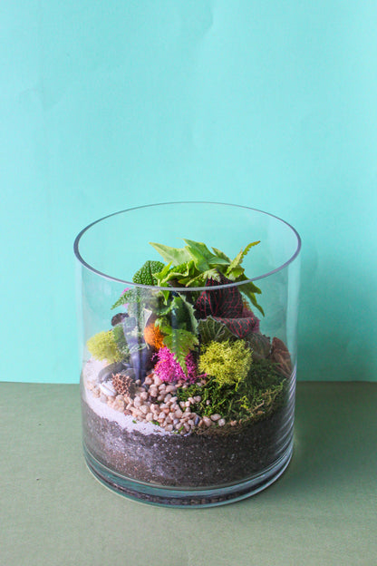 XL Cylinder Terrarium