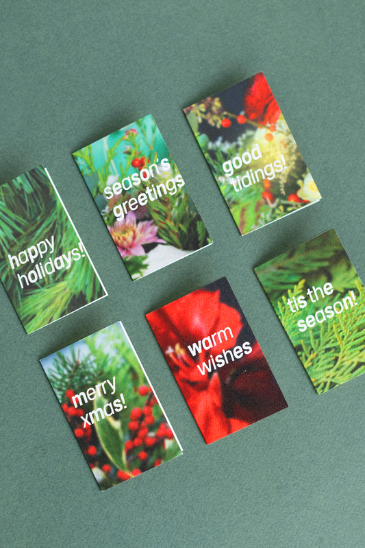 Plant Merch : Floral Mini Blur Cards : Holiday