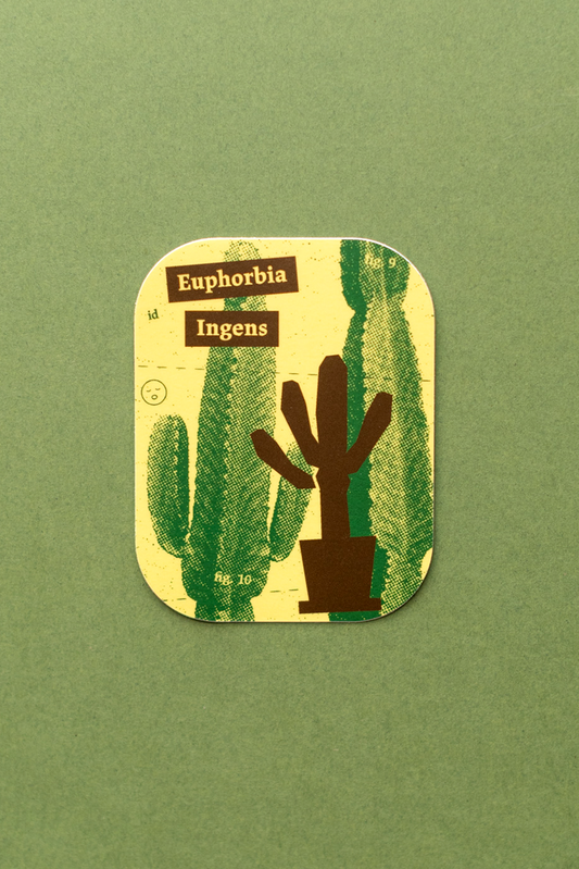 Plant Merch : Sticker : Euphorbia Ingens