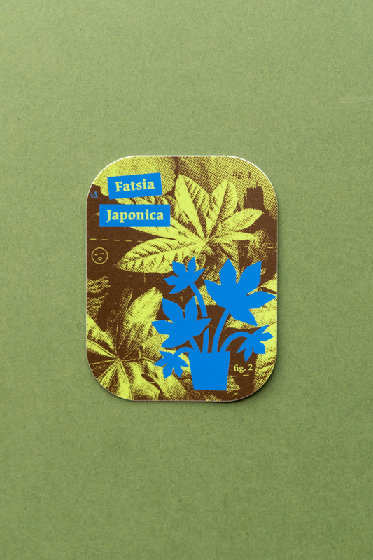 Plant Merch : Sticker : Fatsia Japonica