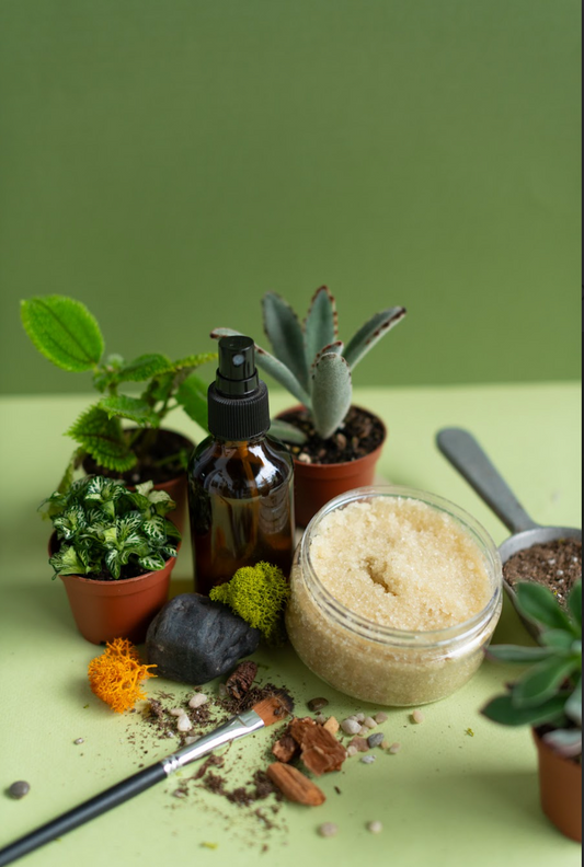 Plant x The Apothecary : Room Mist / Body Scrub & Potted Plant Arrangement Workshop