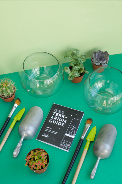 Date Night DIY Terrarium Workshop (Adults Only)