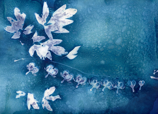 Wet Cyanotype Workshop (Guest Workshop)