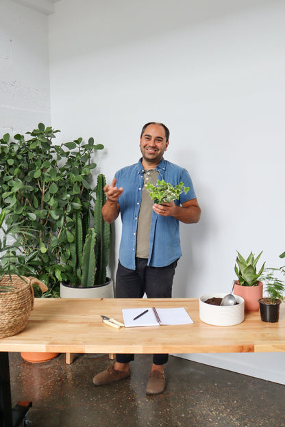 Green Your Thumb: Houseplant 101 Workshop