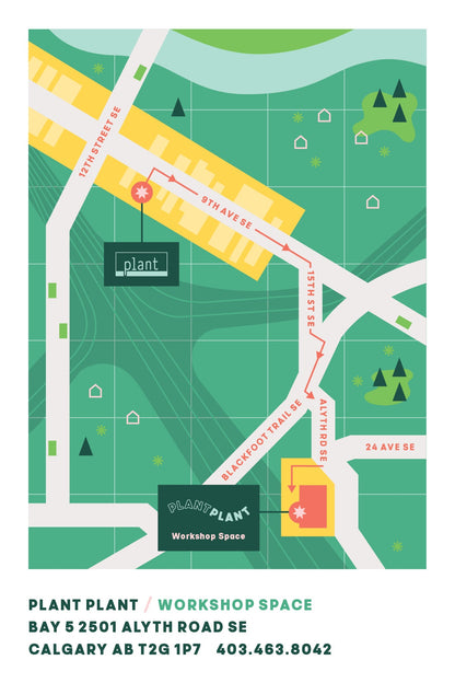 Valentine's DIY Terrarium Workshop (Adults Only)