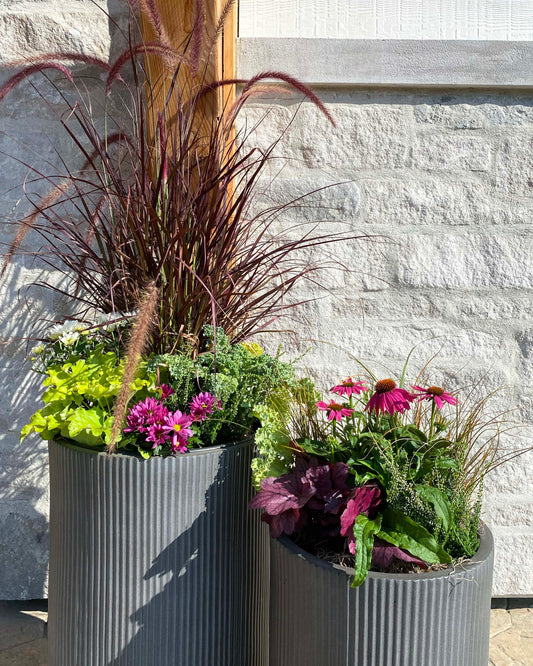 Mother's Day Outdoor Potted Arrangement Workshop