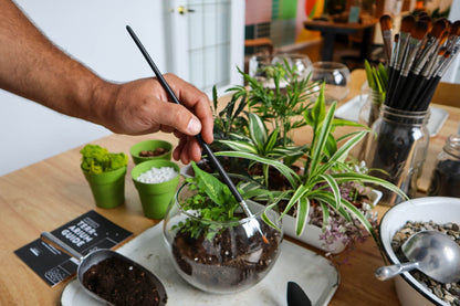 Date Night DIY Terrarium Workshop (Adults Only)